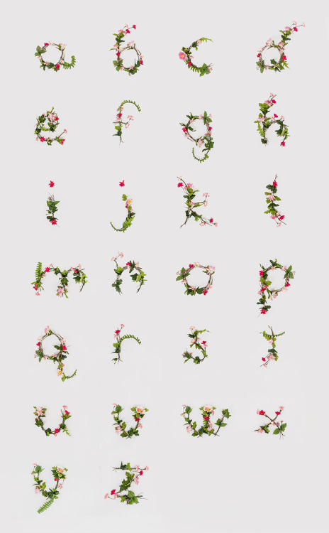 Anne LeeHand-crafted floral alphabet from a design student in Baltimore, MD.