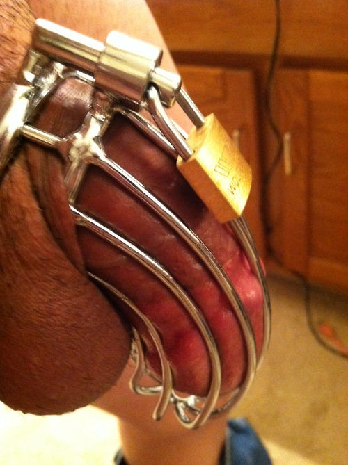 gaboymaster:  Chastity fags should have no access to their pathetic cocks.  The