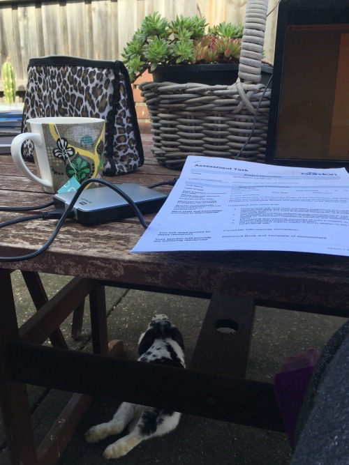 differnnt:Study time feat. Theodore