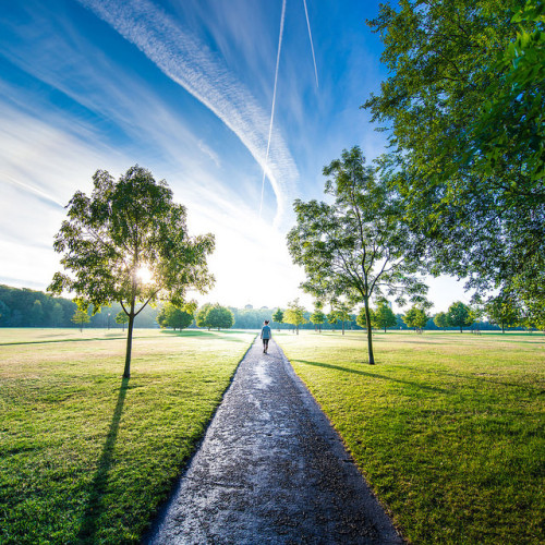 Hyde Park London on Flickr.
Hyde Park Perspective Portrait