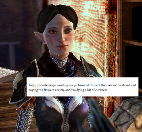 jewishzevran:@help-mywife + dragon age 2 wlw love interests/player charactersscreencaps by @dailypic