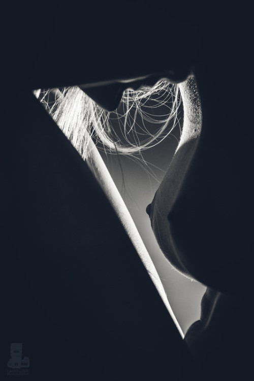 nicenudephotos:  Crevice by truefd from http://bit.ly/1c8x37w 
