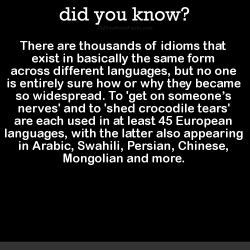 did-you-kno:  There are thousands of idioms that  exist in basically the same form  across different languages, but no one  is entirely sure how or why they became  so widespread. To ‘get on someone’s  nerves’ and to &lsquo;shed crocodile tears’