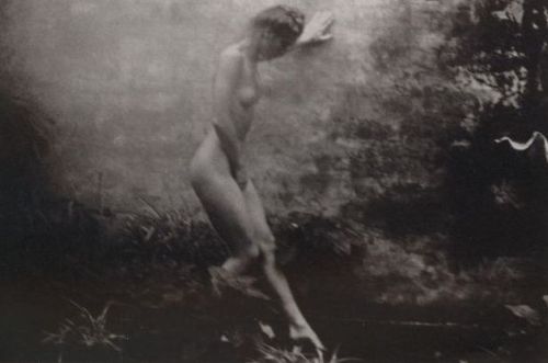 fragrantblossoms:  David Hamilton