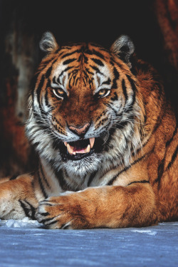 themanliness:Getting Hungry | Source | Facebook