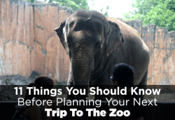 huffingtonpost:  11 THINGS YOU SHOULD KNOW