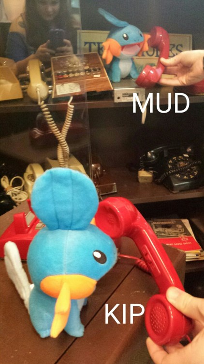 acerotiburon:  #NoMudkipLeftBehind  bought 2 Mudkip. Took them on a trip. 