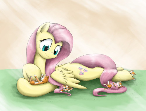 Sex cocoa-bean-loves-fluttershy:  Kittens by pictures