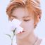 taestful-cherry