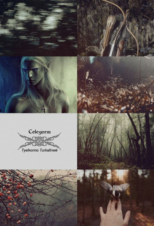 The Silmarillion aesthetic | Celegorm The Fair ‘The name Celegorm, hasty riser, may have been 