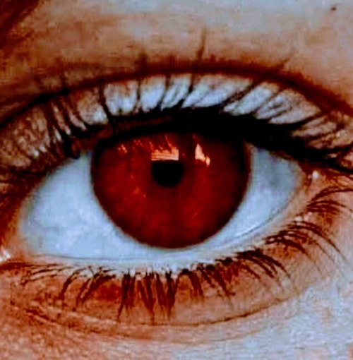 FINNICK ODAIR AS A VAMPIRE WITH A LIE DETECTION GIFT