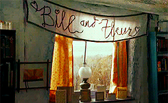  harry potter meme: seven relationships [3/7] » bill &amp; fleur ↳ “Fleur