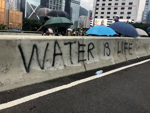 Some of the anarchist and anti-capitalist graffiti seen in Hong Kong during the protests over the pa