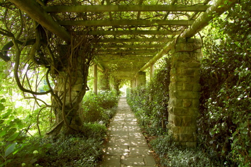 pagewoman: Nymans, West Sussex, England via mapio.net