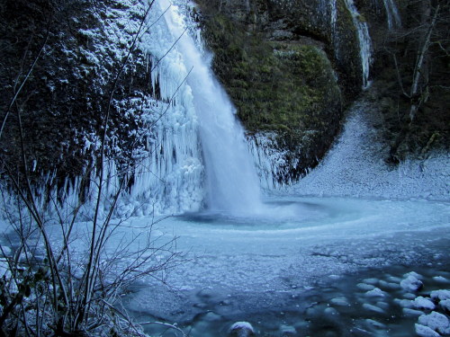 Pacific Wonderland- Horsetail Falls, Oregon December 2013