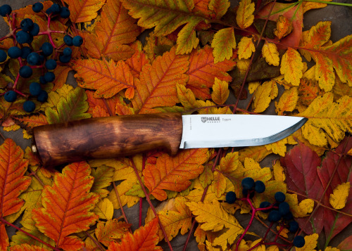 Autumn colors with a couple of my Helle Knives.