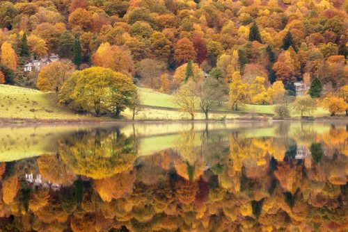 awkwardsituationist:  autumn reflections by david clapp in england’s lake district national park 