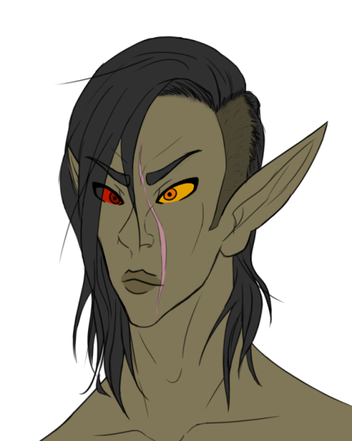 my nerevarine, Natavi! part dunmer, part altmer, but he’s 100% an idiot. a trans icon.bonus pic with