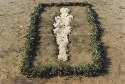 raveneuse:Ana Mendieta, from the Silueta series, 1977.