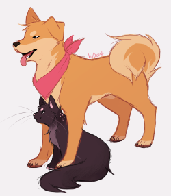 A Size Comparison Of Karma And Mimi As Ferals