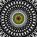 jesuisrien-e:Basking in the hypnotic glow