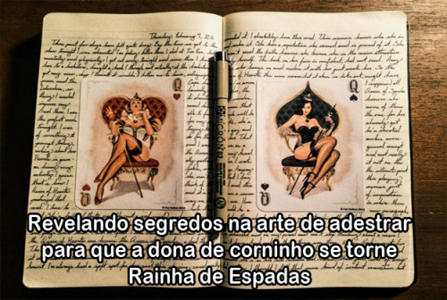 meucorninhomanso: • E-MAIL DA LEITORA: Sou uma leitora ávida do seu Blog, e gostaria de 