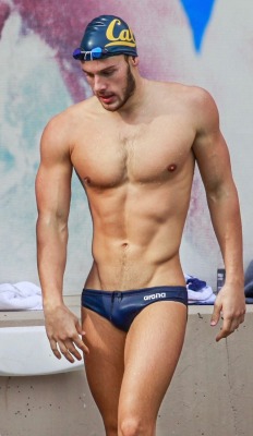 speedo44: Well built swimmer guy, with slightly hairy swimmer thigh action!  (+politely hanging his vpl to the left, too!)