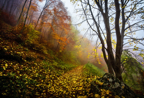 verso-Guado-Sant'Antonio by paraluci on Flickr.