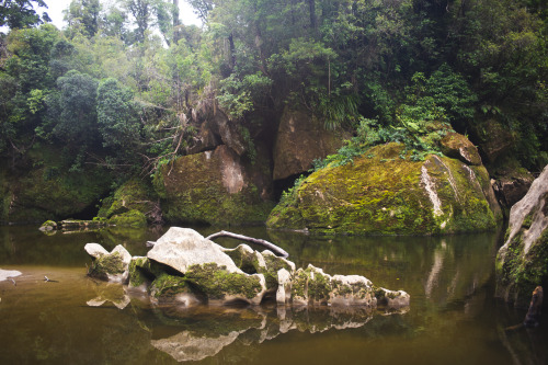 kaitlynefallon:Paparoa National Park