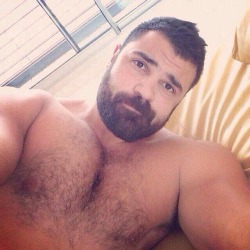woofproject:  bavarianbear:  Dreamy  http://woofproject.tumblr.com/