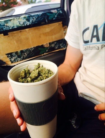weedporndaily:  Terri submitted: #stonersunday