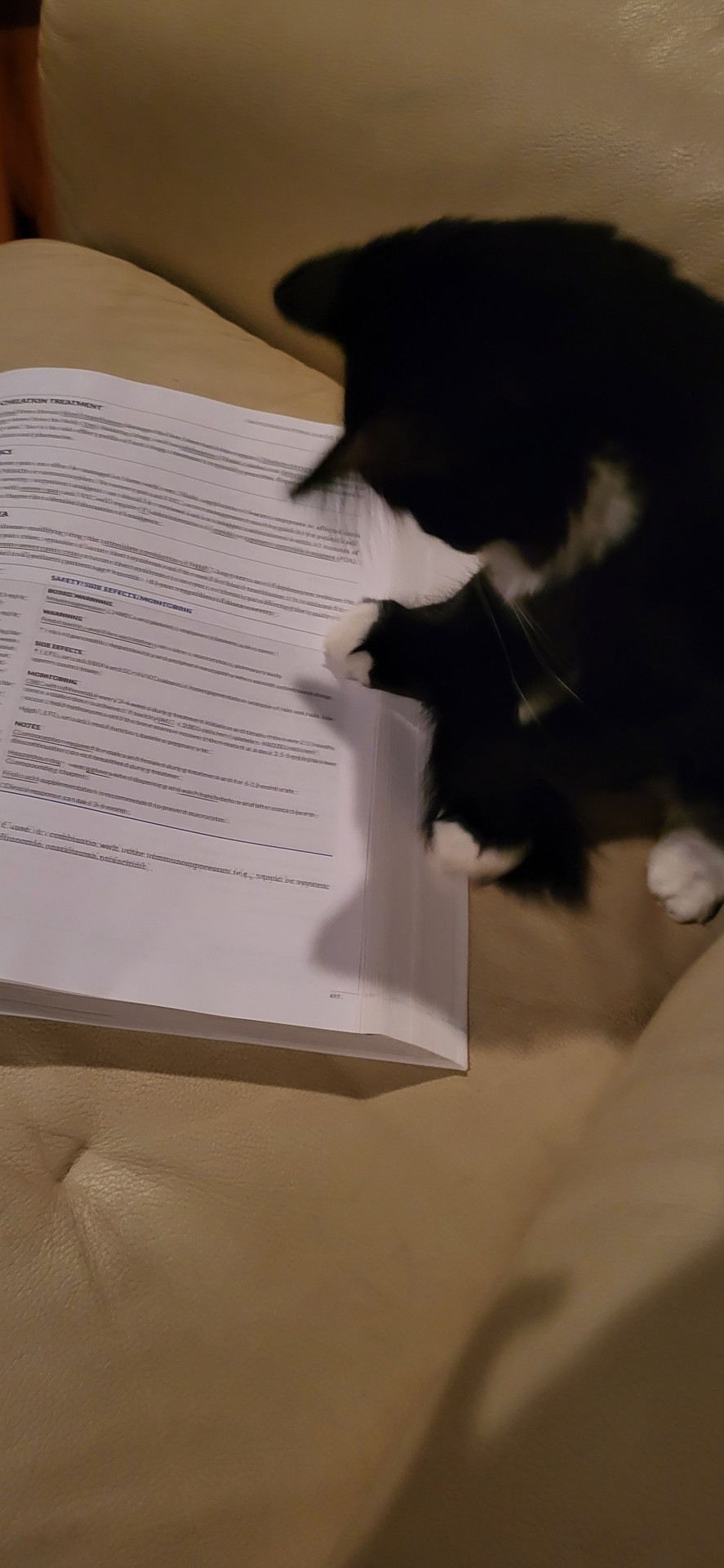 Boss Says Studying Is Important