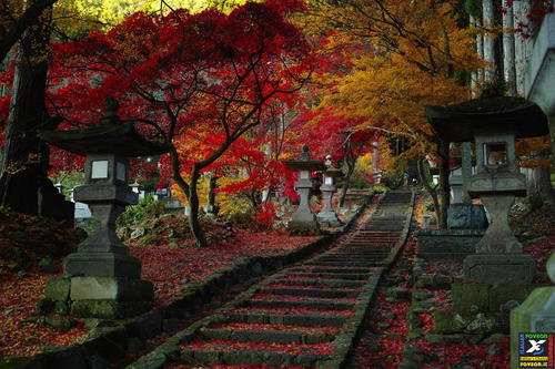 railroad to autumn en We Heart It. http://weheartit.com/entry/81588814/via/vmichelle64