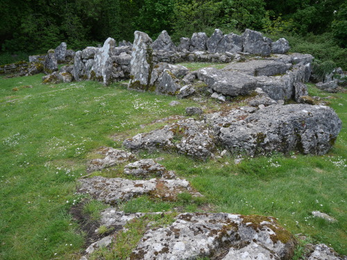 Din Lligwy Romano-Celtic Farming Settlement, Anglesey,  North Wales,  31.5.15. 