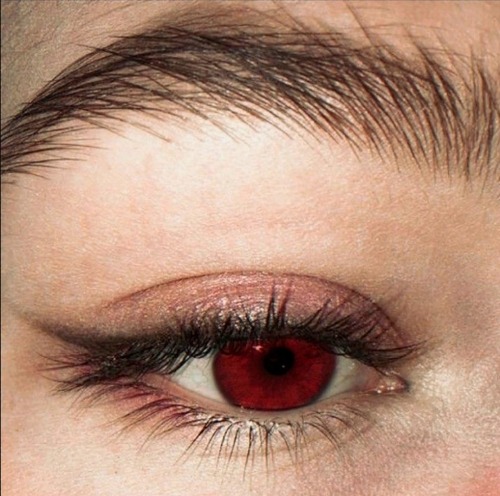 KATNISS EVERDEEN AS A VAMPIRE WITH A TRACKING GIFT