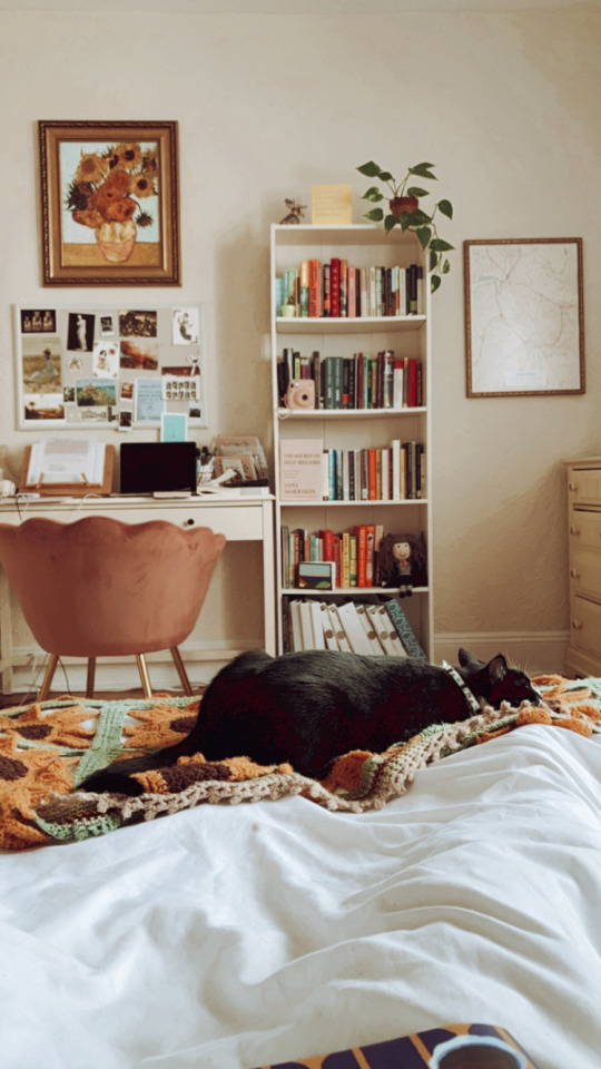 alwaysbringabookwithyou:27.06.2021 This is a cottagecore cat appreciation post. Insta: