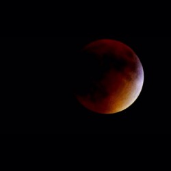 secularbabe:  //from live stream// super blood moon lunar eclipse 9-27-15 💫🔴 