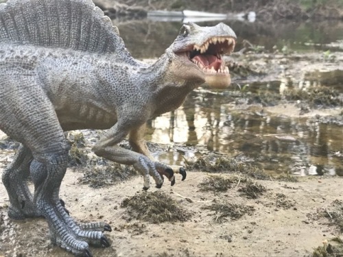 Fear The Dinosaur!