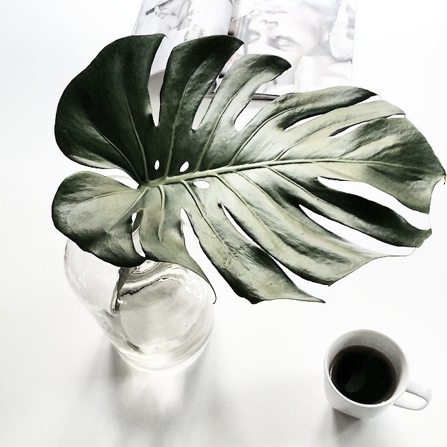 (via SnapWidget | Starting with coffee #mydayoff)