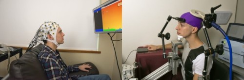 futurescope:  Surrogates: Direct brain interface between humans  Researchers from University of Washington have successfully replicated a direct brain-to-brain connection between pairs of people as part of a scientific study following the team’s initial