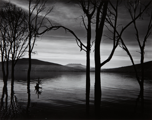 blackpicture:
“Brett Weston
Lake Pátzcuaro. Mexico (1976)
”