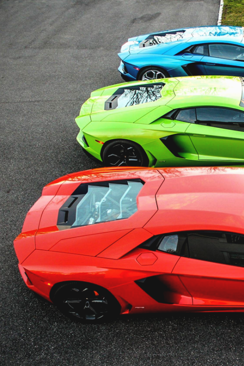 aventado-r:  Variety