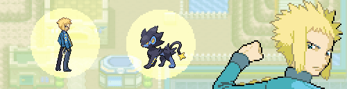 luxi0s:Sinnoh Gym Leaders