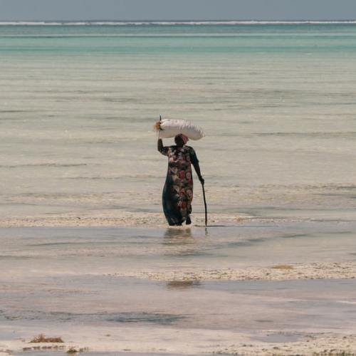 morethanafrica:TANZANIA. Zanzibar. 2021. A woman carrying a bag filled with harvested seaweed. © Elliot Paris