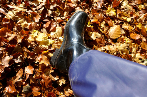 Herbstwanderung in Gummistiefel und Regenkleidung. Und schön gewickelt :-)