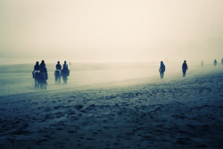 lensblr-network:  Seahouses, England by Julia Franke  (photographsbyjulia.tumblr.com)