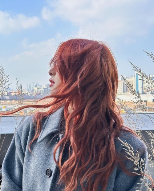 Yunjin | Ig Update