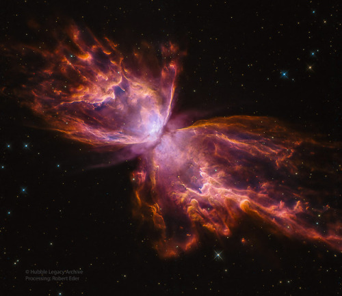 NGC 6302: The Butterfly Nebula The bright clusters and nebulae of planet Earth&rsquo;s night sky are