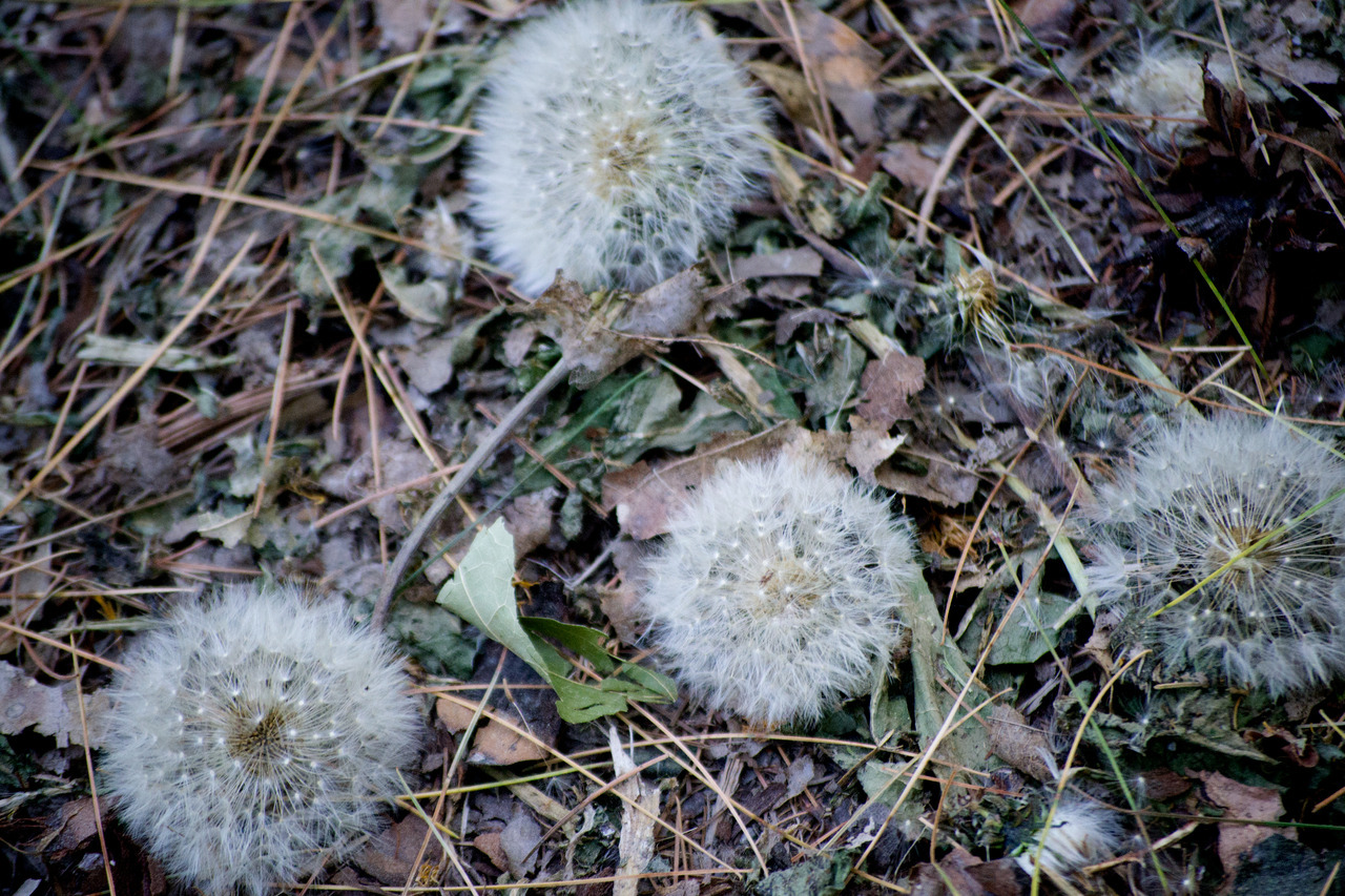 Tumblr Photo