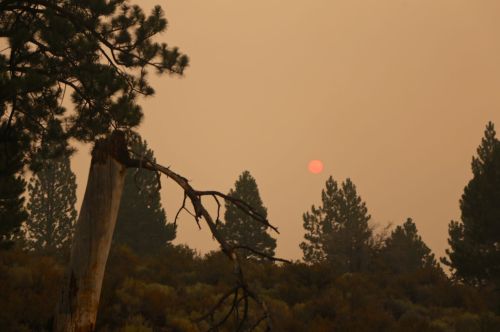 Riding the Rails… A forest fire delayed the train for eight hours before the Coast Starlight 